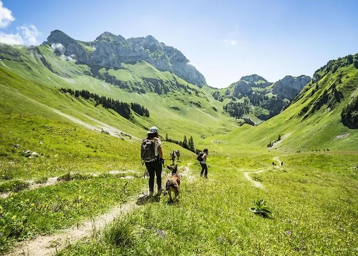 Champs Fleuris Cfs7 Cosy & View 3 Pers